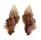 MURICIDAE PTERYNOTUS BARCLAYANUS shell
