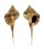MURICIDAE MUREX DENTIFER shell