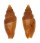 MITRIDAE VEXILLUM FUNEREUM shell