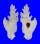 MURICIDAE PTERYNOTUS ELONGATUS shell