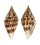 CONIDAE CONUS PRAECELLENS ANDREMENEZI shell