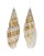 MITRIDAE CANCILLA GRANATINA shell