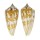 CONIDAE CONUS JANUS shell