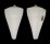 CONIDAE CONUS SUGIMOTONIS shell