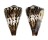 CONIDAE CONUS CAPITANEUS shell