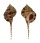 MURICIDAE MUREX DENTIFER shell
