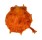 SPONDYLIDAE SPONDYLUS FOLIACEUS CROCEUS shell