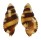 RANELLIDAE CYMATIUM FLAVEOLUM shell