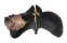 PTERIIDAE PTERIA PENGUIN shell