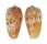 CONIDAE CONUS BULLATUS shell