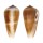 CONIDAE CONUS RADIATUS shell