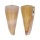 CONIDAE CONUS KINTOKI shell