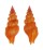 TURRIDAE LIENARDIA ROSEOTINCTA shell