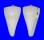 CONIDAE CONUS SUGIMOTONIS shell