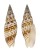 MITRIDAE CANCILLA GRANATINA shell