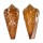 CONIDAE CONUS CROCATUS shell