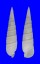 CERITHIIDAE RHINOCLAVIS FASCIATA shell