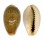 CYPRAEIDAE ERRONEA OVUM ERICI shell