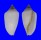 MITRIDAE PTERYGIA CONUS shell