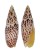 MITRIDAE MITRA PAPALIS shell
