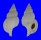RANELLIDAE FUSITRITON MAGELLANICUS RETIOLUS shell