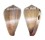 CONIDAE CONUS BALTEATUS shell