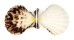 PECTINIDAE BRATECHLAMYS VEXILLUM shell