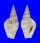 STROMBIDAE STROMBUS CAMPBELLI shell