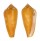 CONIDAE CONUS CROCATUS shell