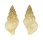 BUCCINIDAE TASMEUTHRIA CLARKEI shell