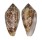 CONIDAE CONUS TEXTILINUS shell