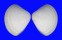 VENERIDAE MERETRIX MERETRIX shell
