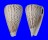 CONIDAE CONUS SURATENSIS shell