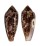 CONIDAE CONUS AUREUS shell