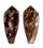 CONIDAE CONUS AUREUS shell