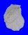 PLICATULIDAE PLICATULA AUSTRALIS shell