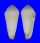 CONIDAE CONUS TEREBRA shell
