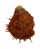 SPONDYLIDAE SPONDYLUS SWINNENI shell