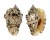 STROMBIDAE STROMBUS LENTIGINOSUS shell