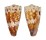 CONIDAE CONUS VIDUA CUYOENSIS shell