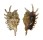 STROMBIDAE LAMBIS MILLEPEDA shell