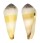 CONIDAE CONUS TEREBRA shell