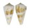 CONIDAE CONUS LENAVATI shell