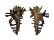 MURICIDAE HOMALOCANTHA VICDANI shell