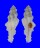 MURICIDAE PTERYNOTUS BIPINNATUS shell
