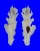 MURICIDAE PTERYNOTUS ELONGATUS shell