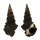 POTAMIDIDAE PYRAZUS EBENINUS shell