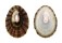 FISSURELLIDAE FISSURELLA RUBROPICTA shell