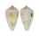 CONIDAE CONUS BOETICUS MELEUS shell