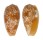 CONIDAE CONUS BULLATUS shell